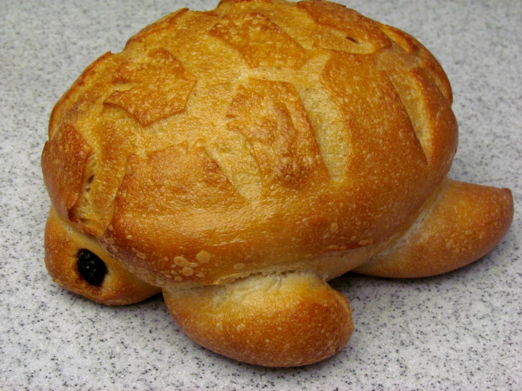Zopfkrötchen